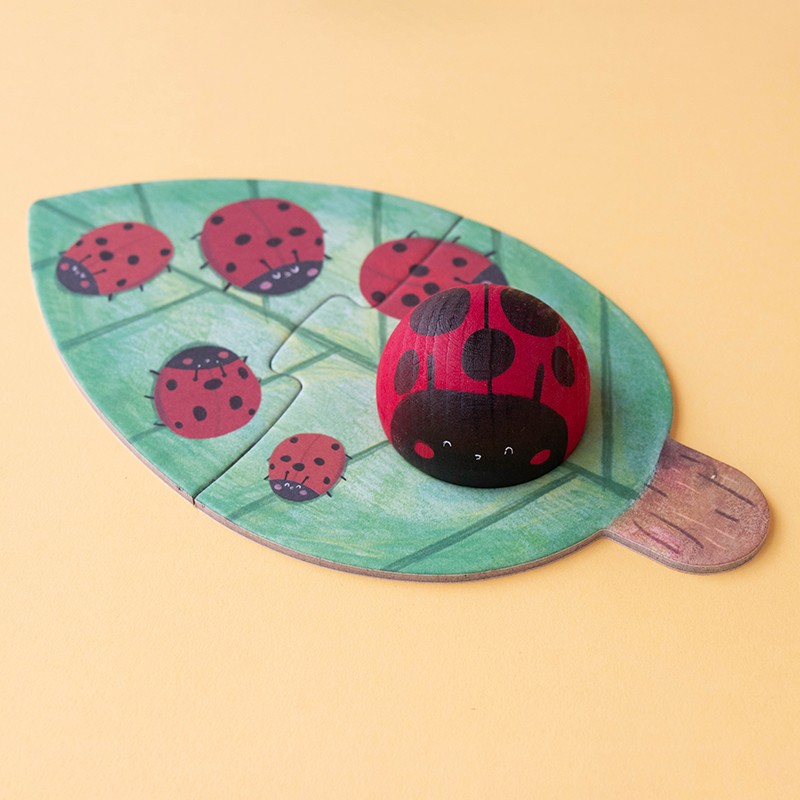 First insect puzzle